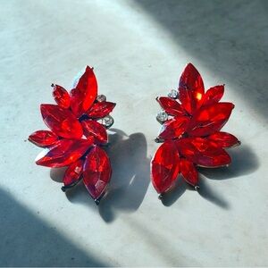 Elegant Red Crystal Earrings